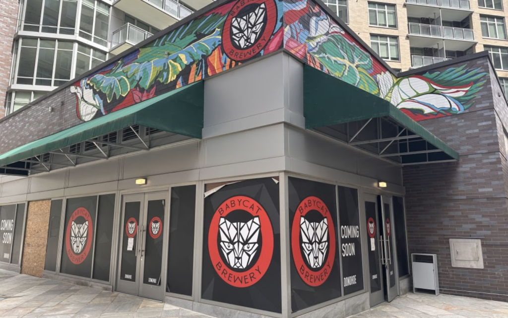 Corner storefront of Babycat Brewery with a colorful mural above and “Coming Soon” signage on the glass doors and windows.
