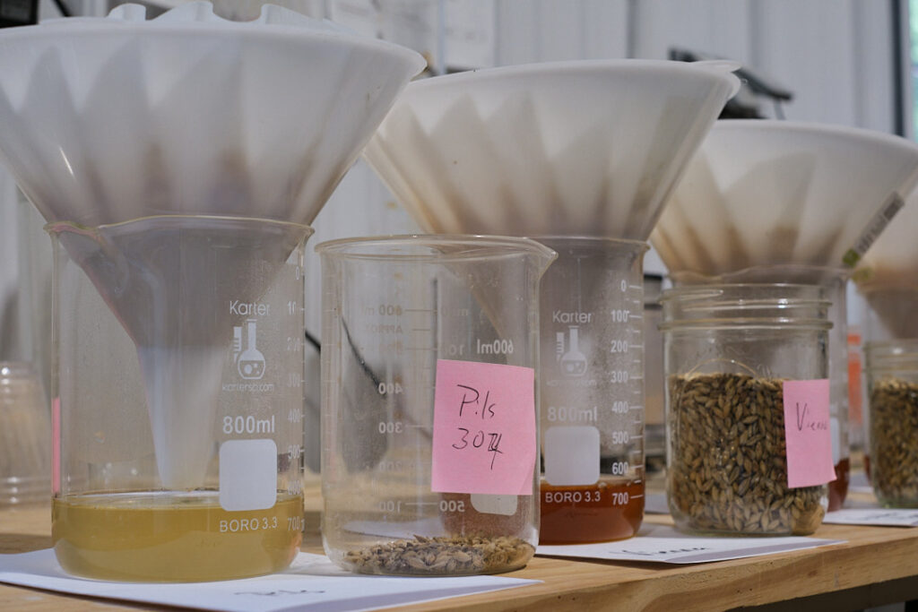 Laboratory beakers on a wooden surface, some containing liquid and others holding samples of grains with sticky note labels.