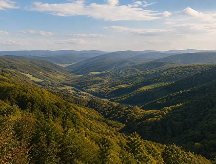 A vast, forested valley seen from a high vantage point under a clear sky.
