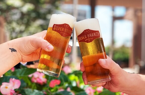 Two people clinking glasses of Silver Branch Brewing Co. beer.